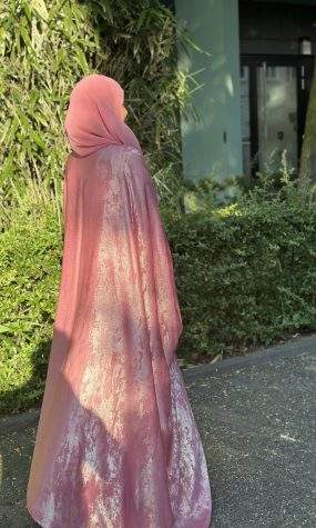 Noor Rosy 4